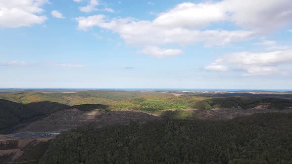 Hyperlapse Forest Natural