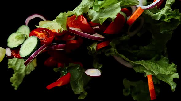 Mix of Different Fresh Vegetables Shaking and Flying Up on the Black Isolated Background