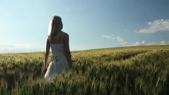 young woman in green wheat field