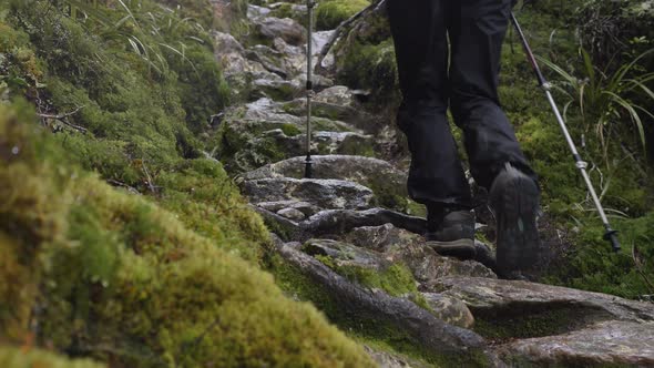 Tilt up, hiker climbs wet rocky steps in moss forest, Routeburn Track New Zealand