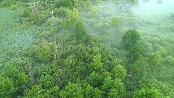 Green Landscape Mist Aerial 