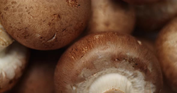 Macro Top View Of Uncooked Fresh Raw Royal Champignon Mushrooms Rotating Close Up