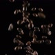 Coffee Beans in a Free Fall - VideoHive Item for Sale