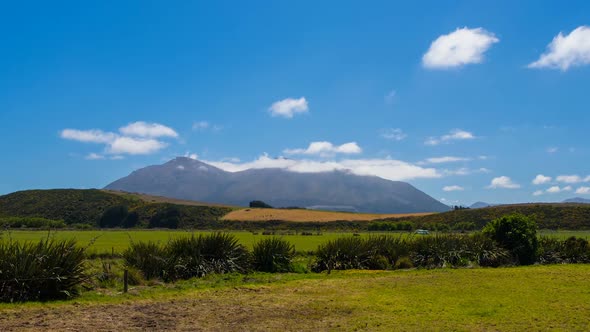 Sunny Landscape in New Zealand