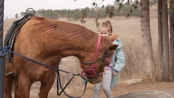 Kid Stroking a Beautiful Brown Harnessed Horse with a White Spot