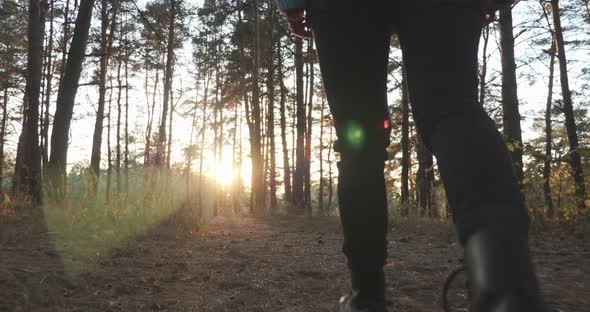 Woman traveler in jeans and leather boots walking through fall forest among pines againts sunlight