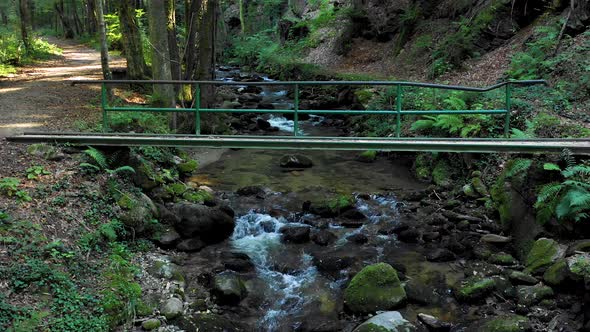 Mountain river flowing over rocks and boulders in forest, Bistriski Vintgar gorge on Pohorje, Sloven