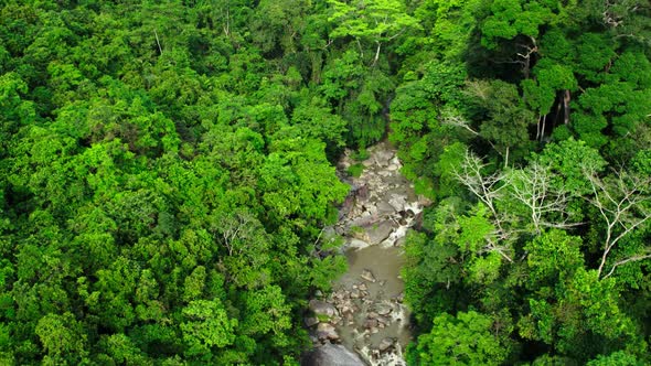 Aerial view over a dense tropical rainforest jungle, Ko Samui, Thailand