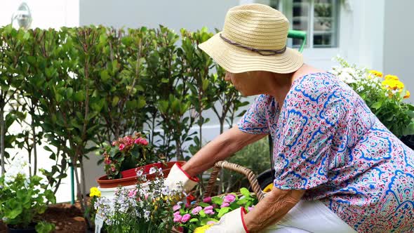 Senior woman gardening in the garden