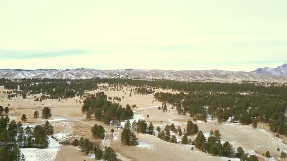 Aerial view of Pikes National Forest in the Winter