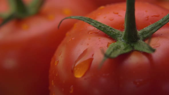 Closeup of Water Drop Flowing Slowly Down the Surface of Ripe Red Juicy Tomato