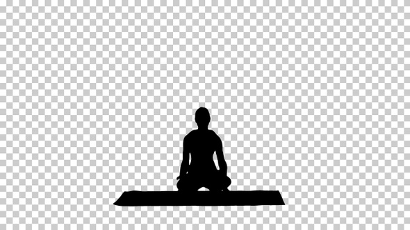 Silhouette Young sporty woman practicing yoga doing Scale