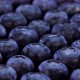 Blueberries rotating on a black background. Close up view of fresh bio blueberries - VideoHive Item for Sale