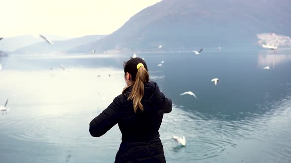 Girl Feeds Seagulls on the Coast of Perast