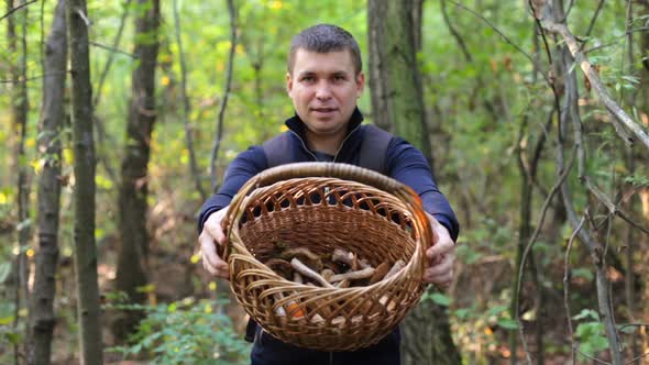 A man collects edible organic mushrooms growing in a beautiful scenic sunny autumn forest.