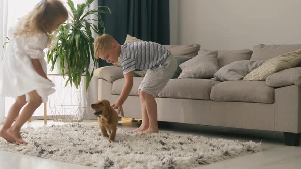 Little boy and girl playing with cocker spaniel puppy in living room