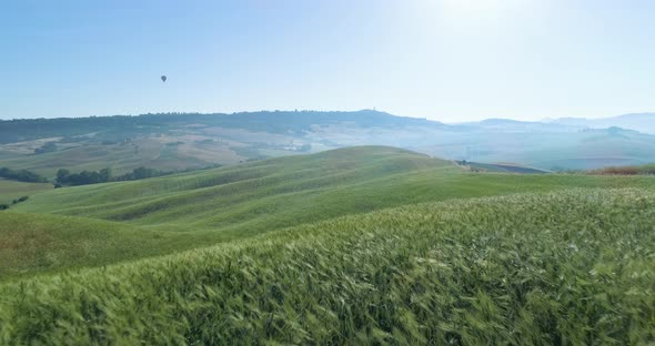 Country Road in Tuscany During Sunlight