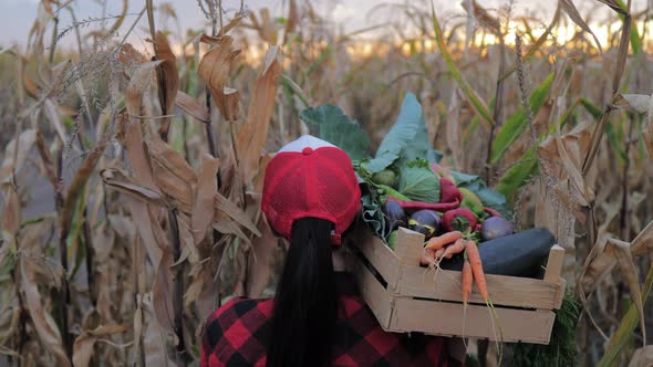 Crop of Vegetables