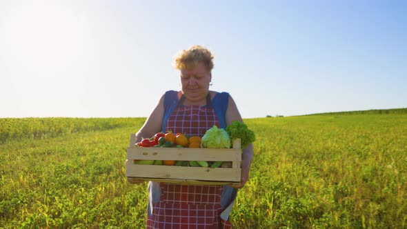 Farmer with a Vegetable Box