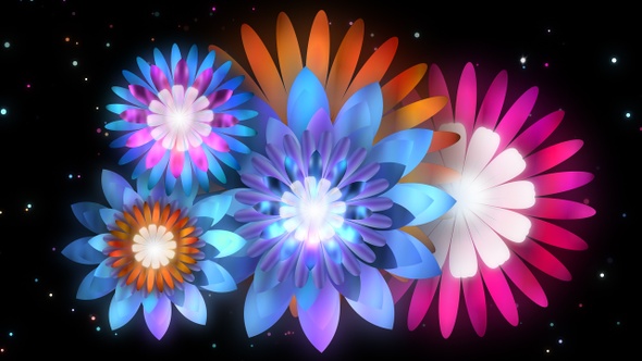 4k Colourful Flowers Background Loop