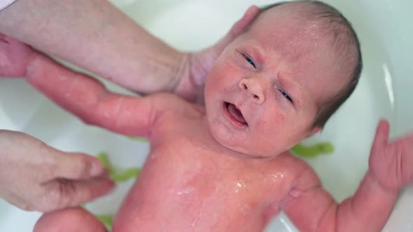 Newborn Baby Six Days Old Bathe In Bath In Water