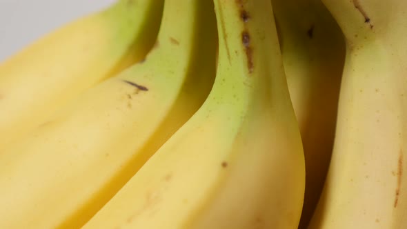 Arranged exotic banana fruit in a row 4K 2160p 30fps UltraHD tilt footage - Musa acuminata and Musa 