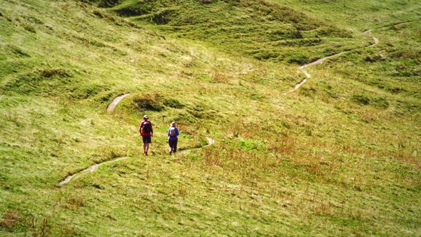 Swiss hikers on a trail through a meadow