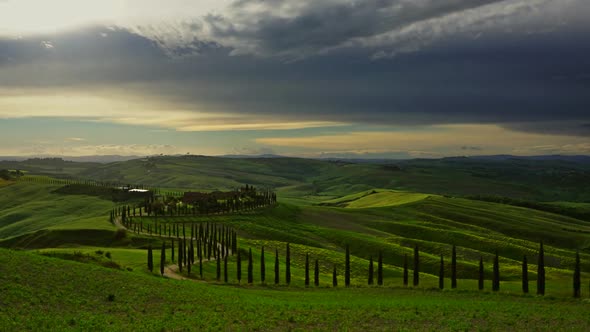 Tuscany Landscape with Cypresses, Timelapse