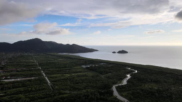 Aerial view river and the plantation near the sea