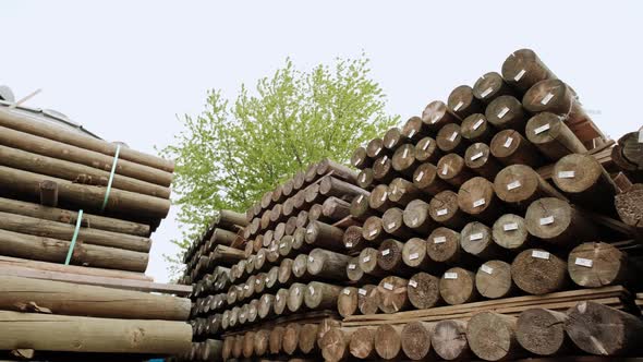 Timber Industry