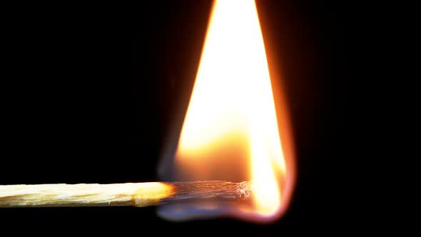 Igniting Match and Flame on a Black Background