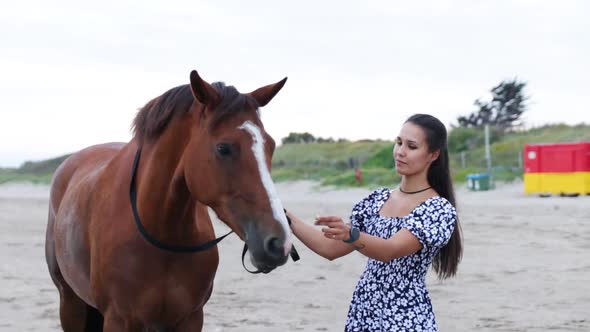 A beautiful girl with long hair in a blue dress gives her horse a treat on the beach during the even