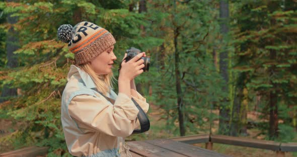 Photographer Woman Taking Picture of Fall Forest on Camera. Slow Motion Nature