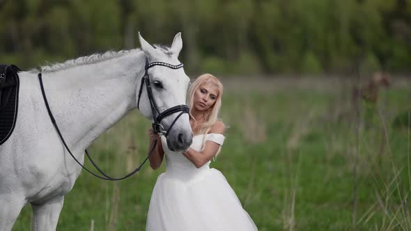 Pretty Woman is Stroking Calm White Horse at Nature Portrait of Romantic Bride with Equine on Field