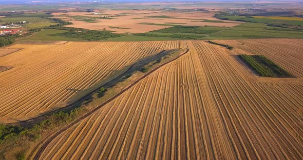 Aerial View of Agricultural Fields with Fresh Stubble After Harvesting Crops Wheat or Rye