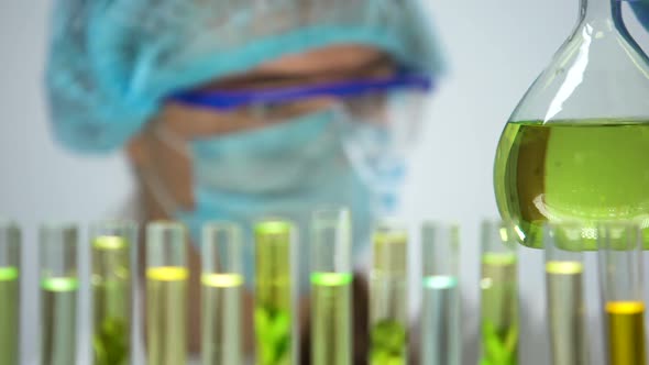 Biologist Checking Rapeseed Extract in Flask, Biofuel Production Experiment