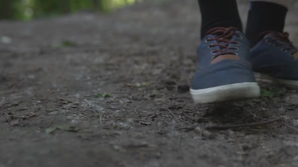 The Man is Walking in the Forest