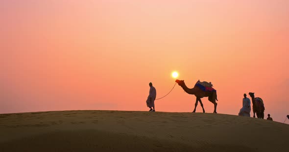 Indian Cameleers (Camel Driver) Bedouin with Camel Silhouettes in Sand Dunes of Thar Desert on