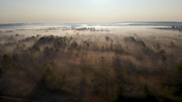 Epic aerial view of sunrise fog covering field with trees