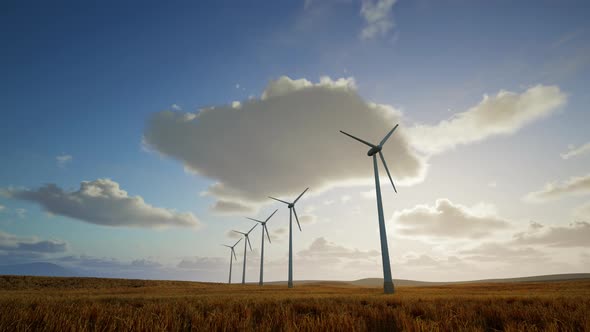 Wind Turbines In The Field