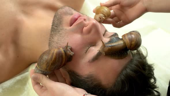 Close Up Man Receiving Snail Massage at Beauty Salon