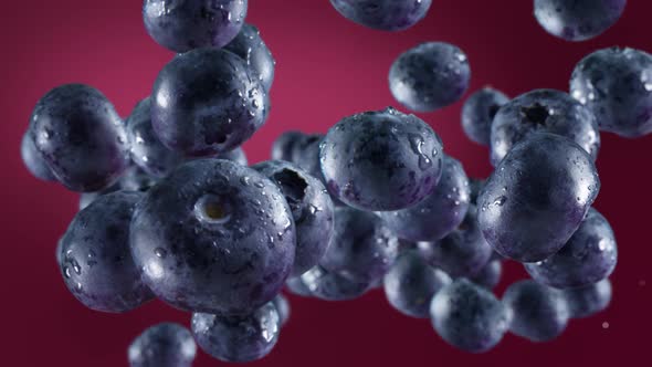 Flying of Blueberries in Deep Fuschia Background