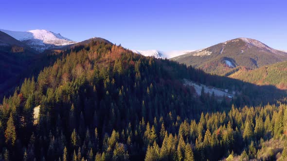 Picturesque Mountain Landscapes Near the Village of Dzembronya in Ukraine in the Carpathians