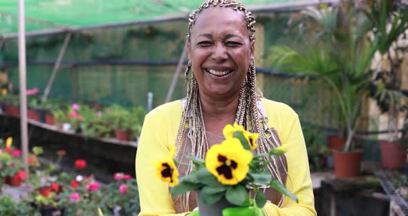 African senior woman working inside greenhouse garden holding flower plant