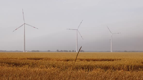 Wind Turbines in Wheat Field