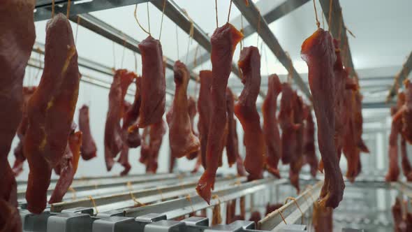 A Lot of Appetizing Smoked Meat Snacks Hang in the Refrigerator Warehouse