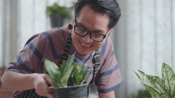 Close Up Of Asian Man Looking At The Plant In Hand And Shaking His Head