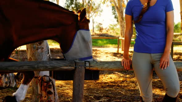 Woman feeding horse in ranch