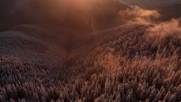 Drone Aerial Fly Above Winter Forest Unveiling Mountain Valley