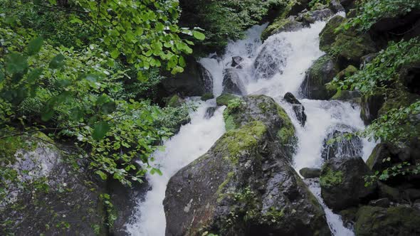 Water stream in the rainforest